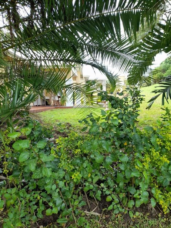 19 Montego Bay Caribbean Estate Apartamento Port Edward Exterior foto